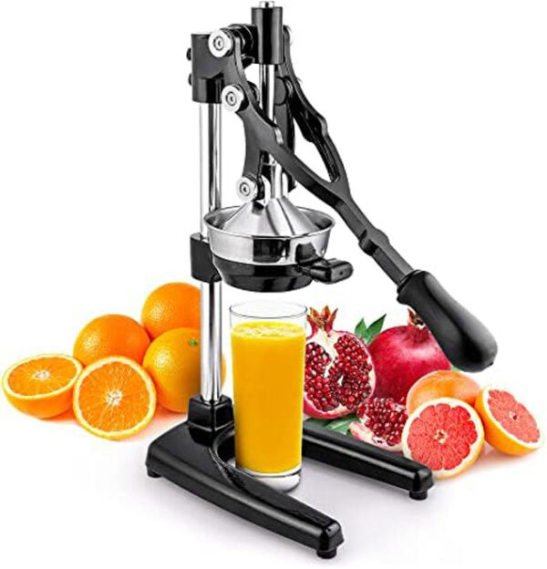 BR 155 Orange Juicer